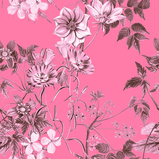 Grabados florales fucsia Wallpaper⁠