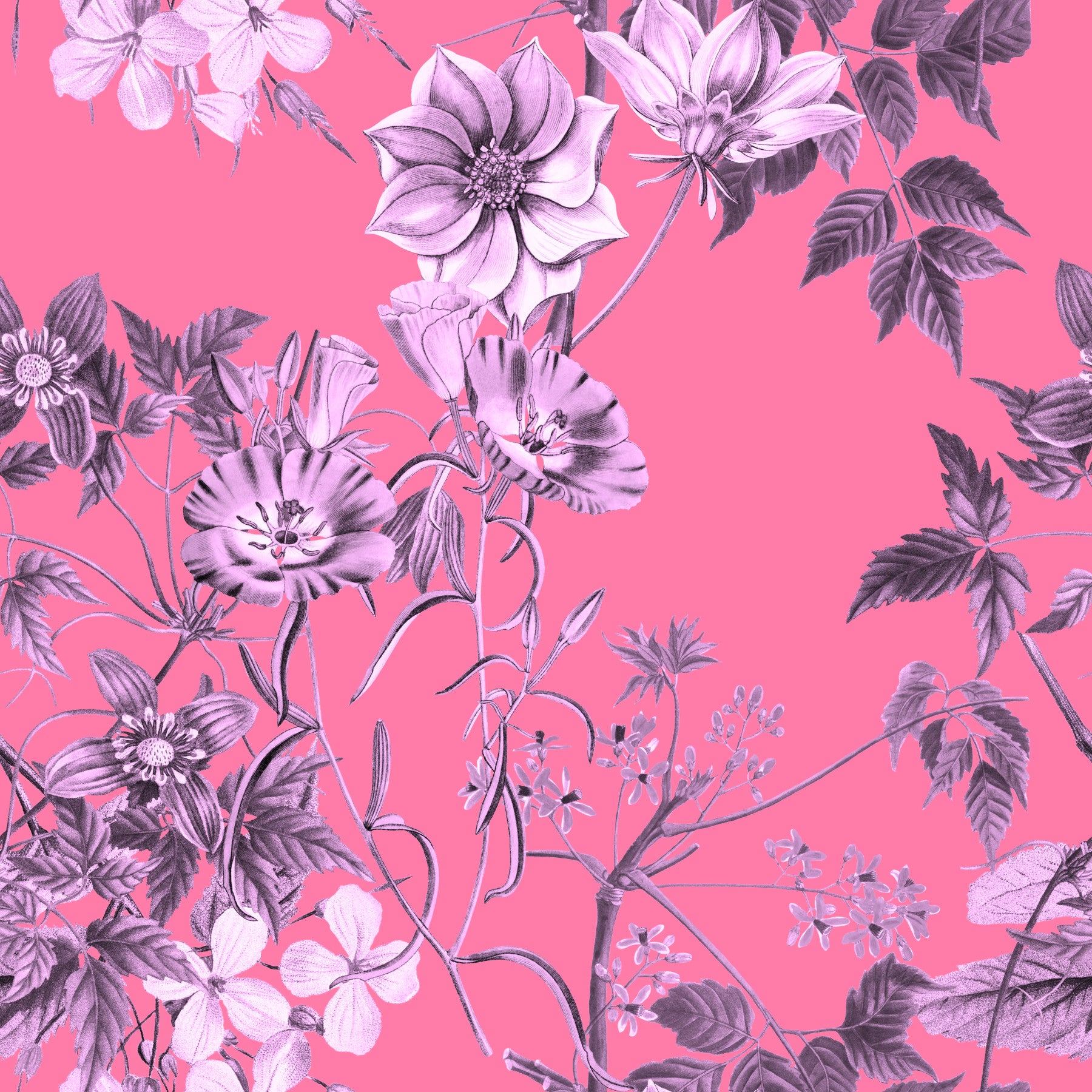 Garden flower wallpaper with Fuchsia Garden Prints and soft grey detail