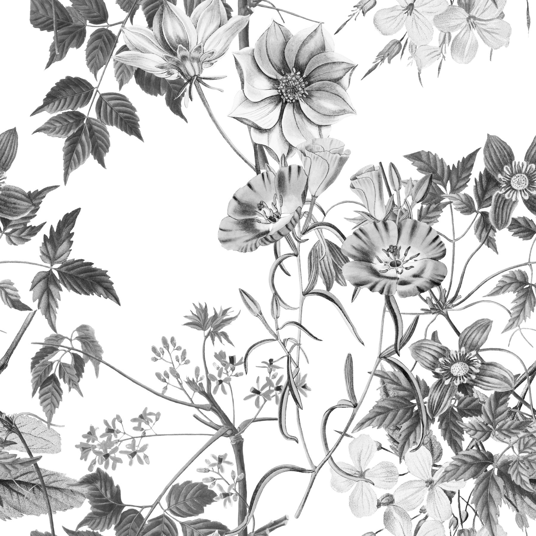 Monochromatic Botanical Prints Wallpaper