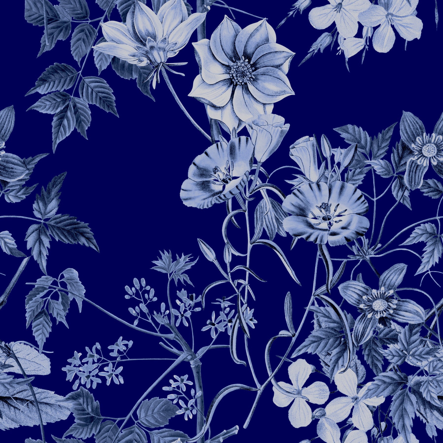 Deep blue wallpaper with Midnight Flower Prints floral vine pattern