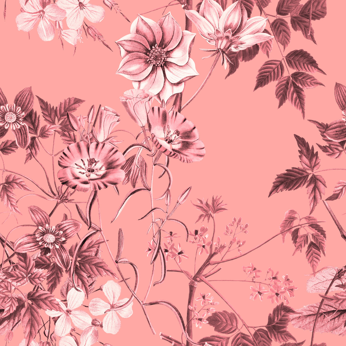 Blushing Flower Prints Wallpaper in your room