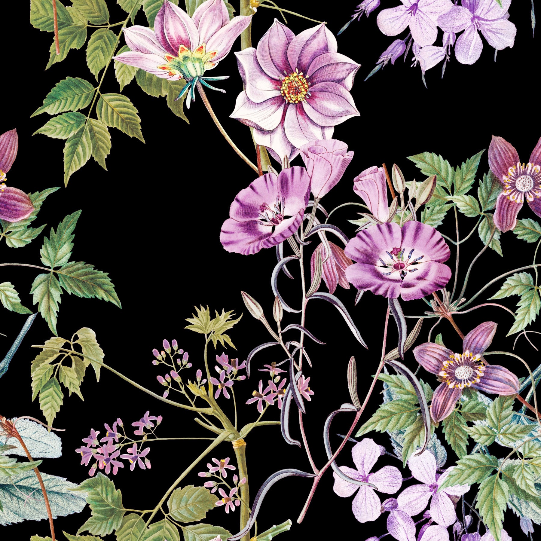 Hallway Victorian Vine wallpaper with purple blooms and dark vine art