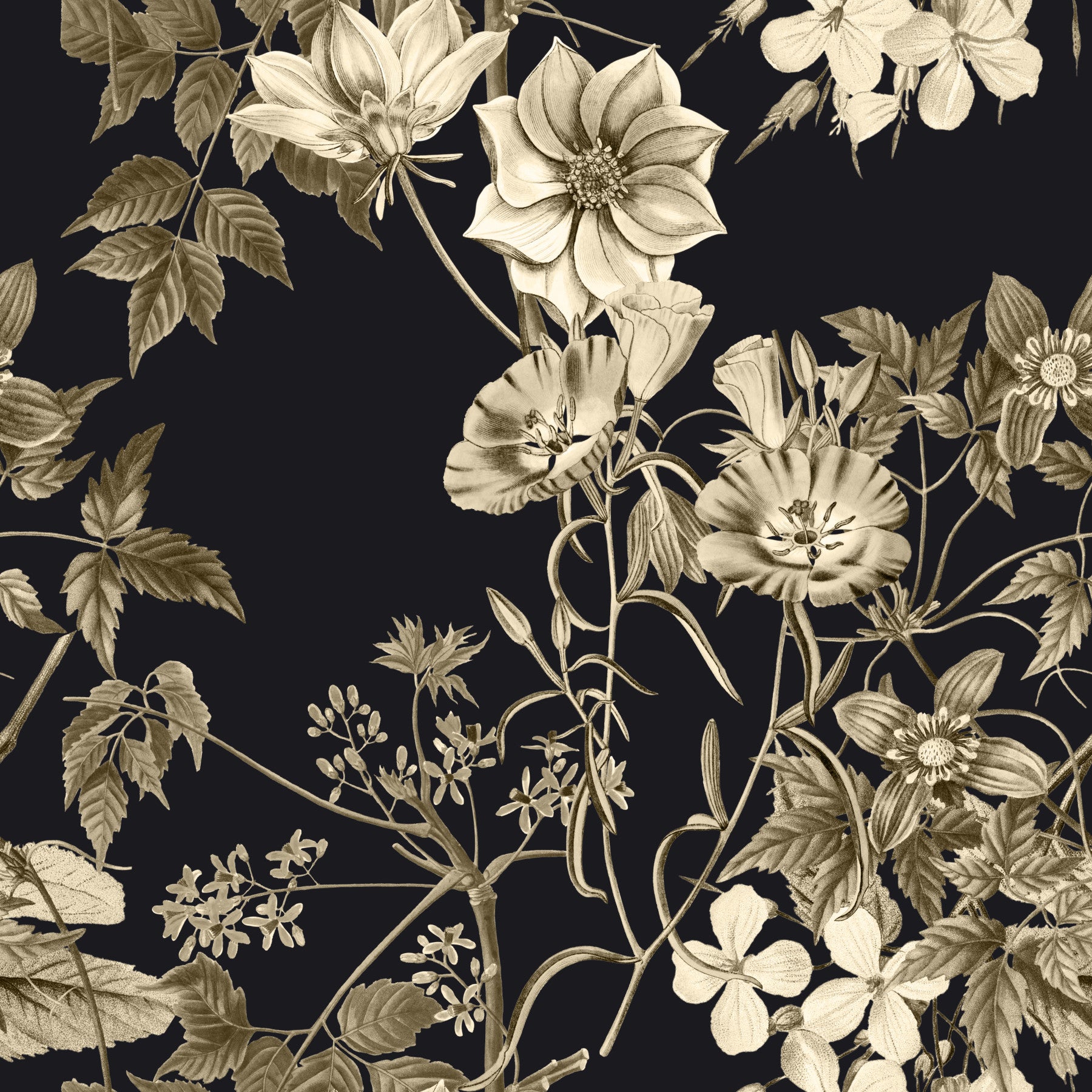 Elegancia botánica negra Wallpaper⁠
