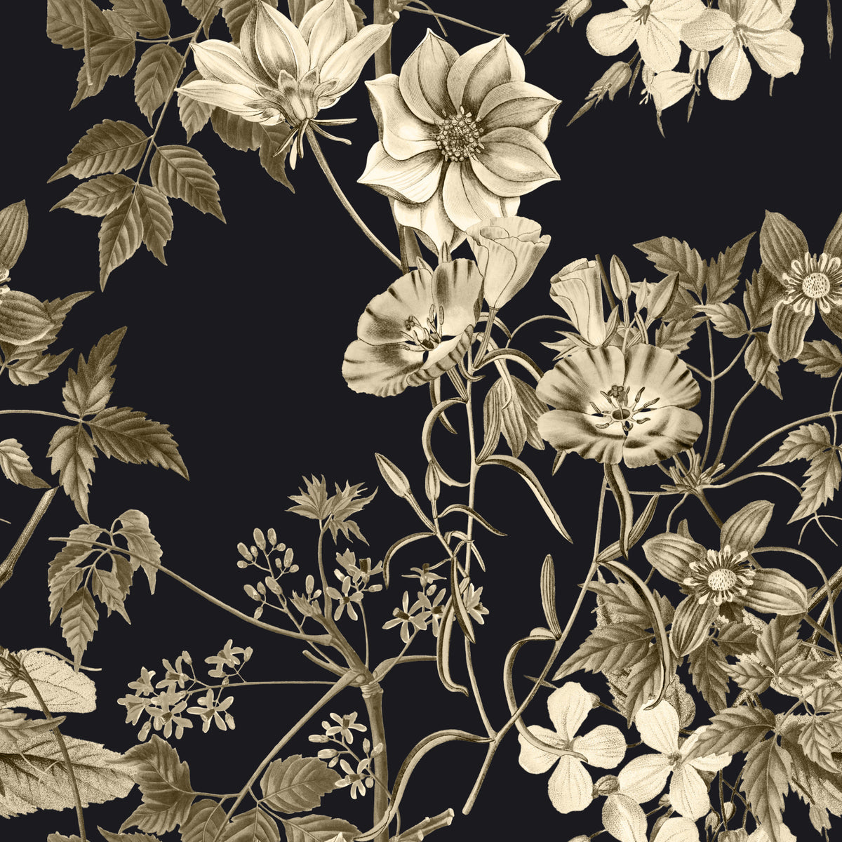 Elegancia botánica negra Wallpaper⁠ in your room — zoomed