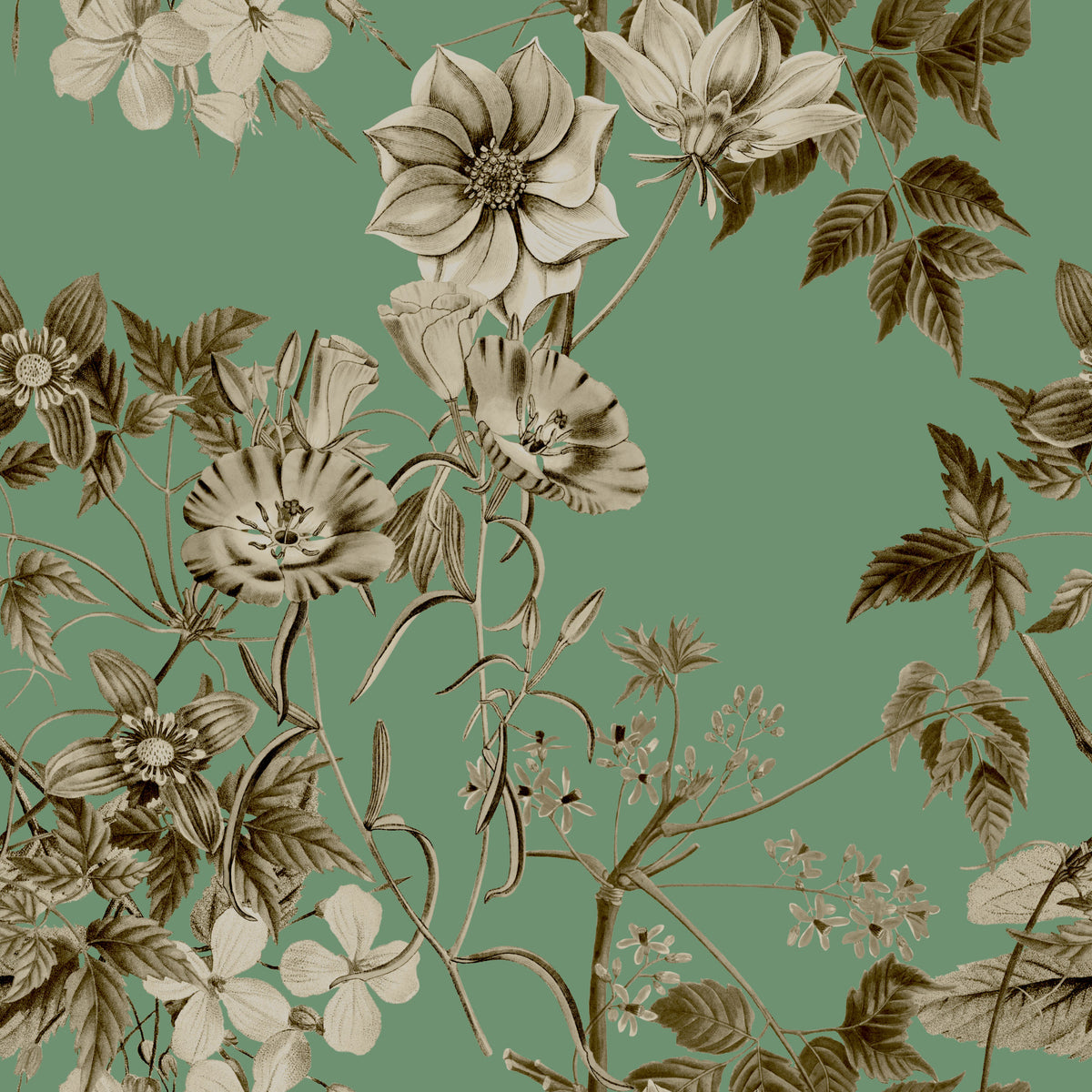 Elegancia botánica en tonos sepia y jade. Wallpaper⁠ in your room