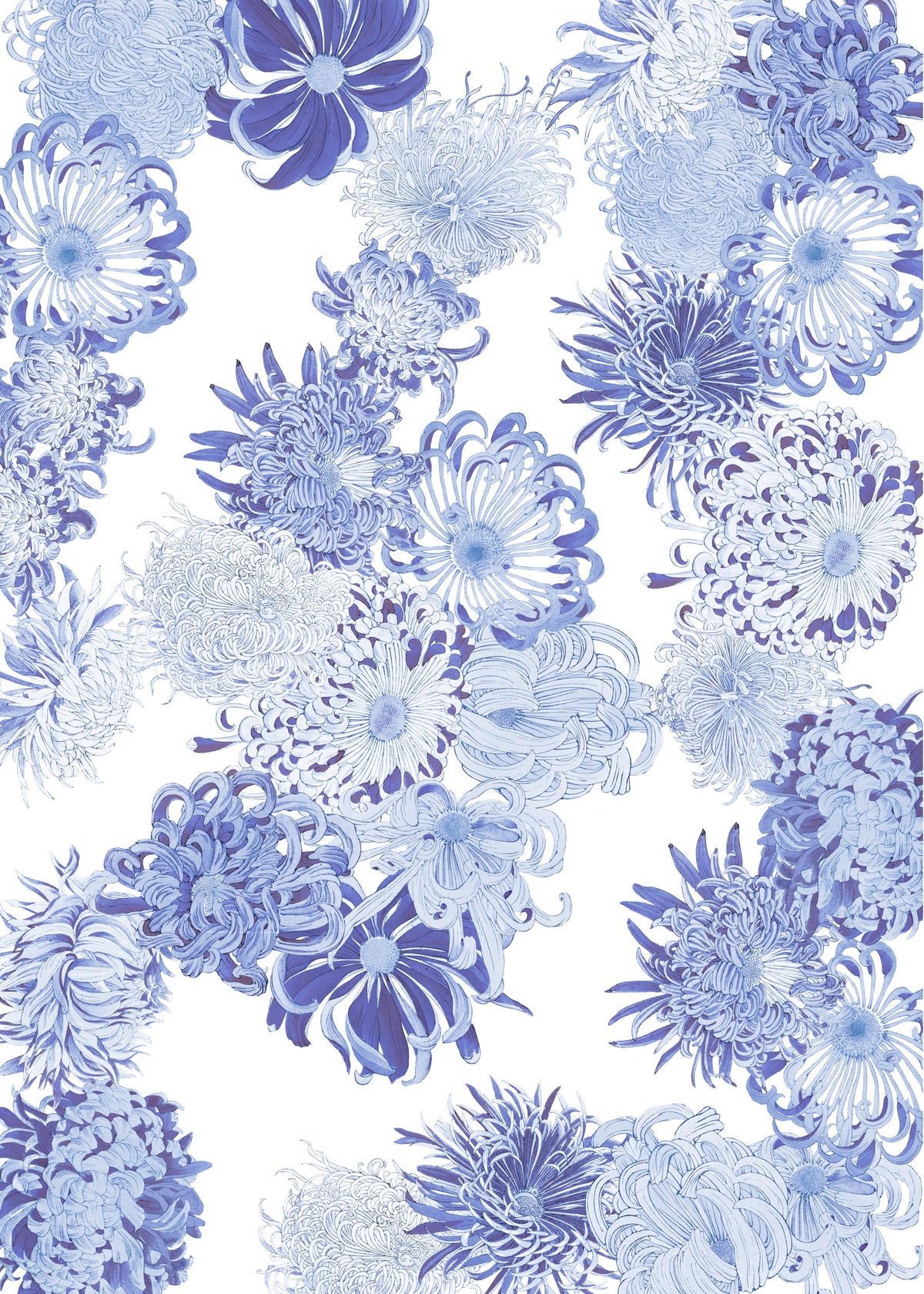 Blue Chrysanthemum Cascade Wall Mural in your room