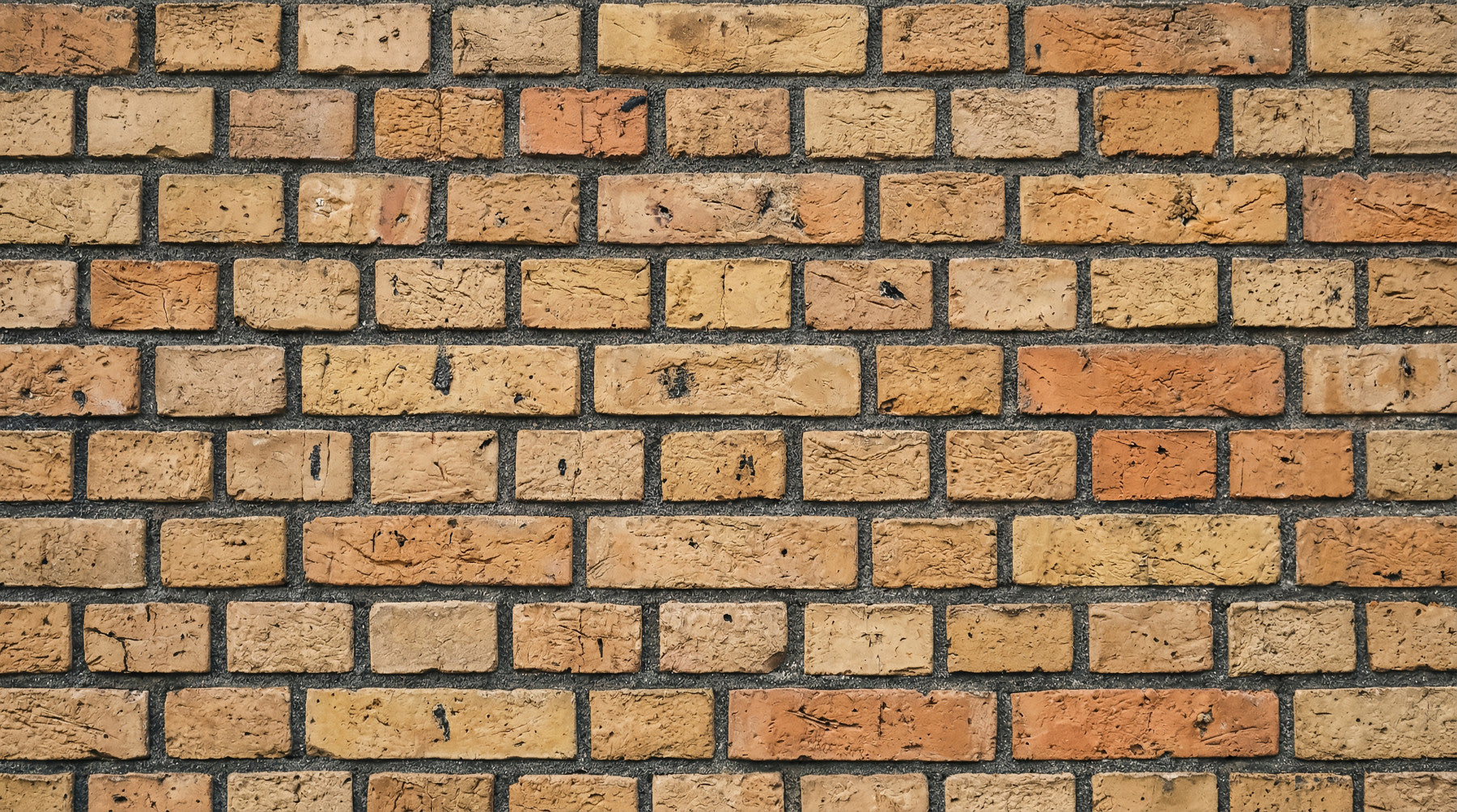 Realistic grout lines shape this brick pattern wall mural with rustic finish