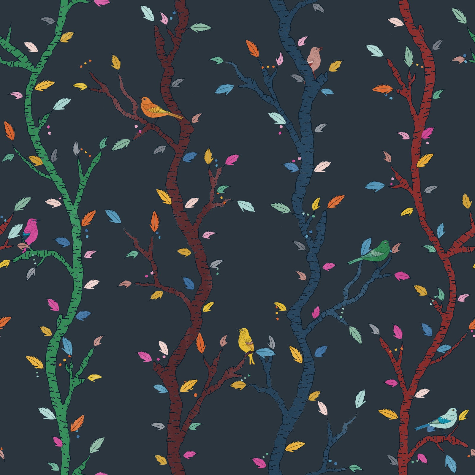 Midnight Woodland Branches with Birds Wallpaper⁠ in your room