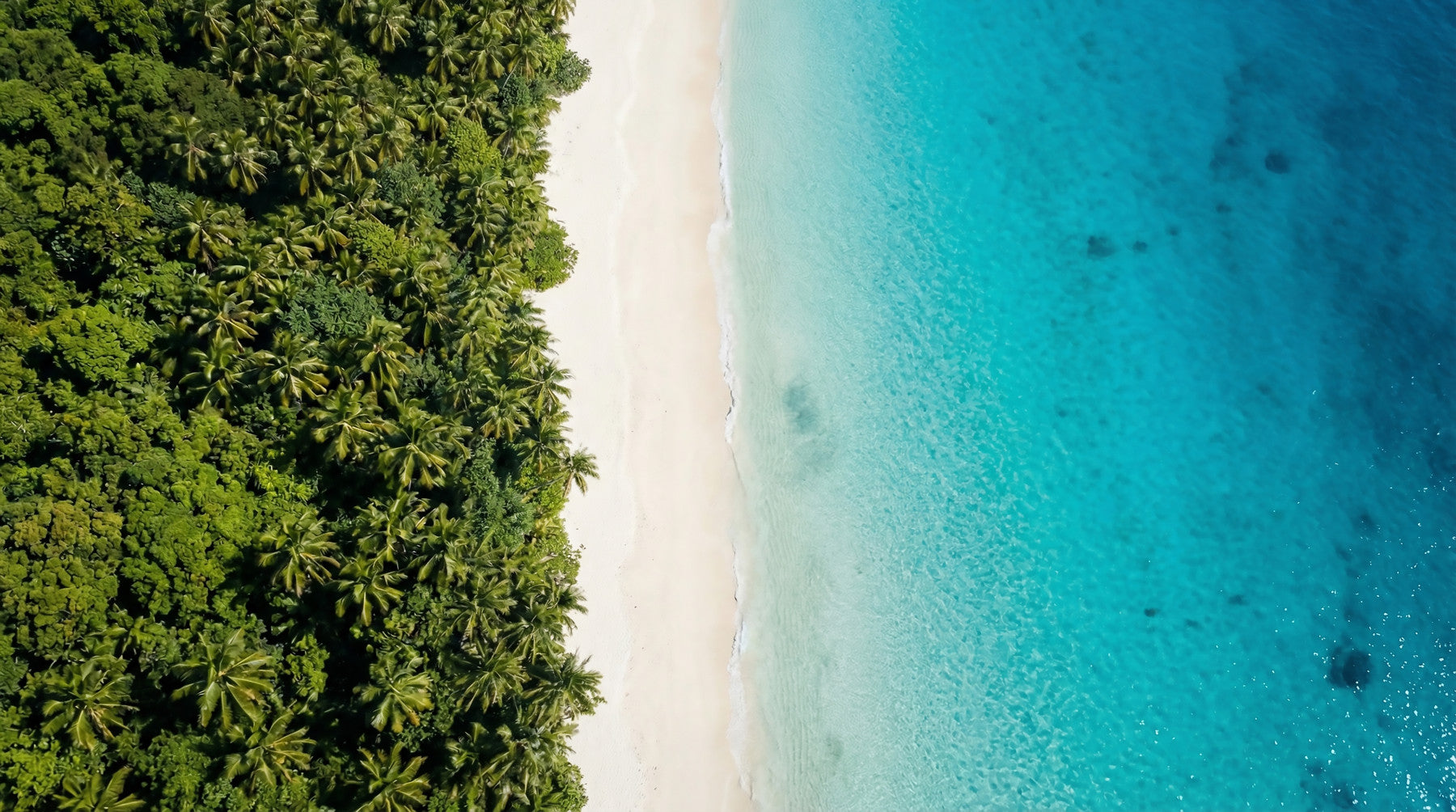 Bedroom styled with tropical shoreline wall mural and aerial beach view