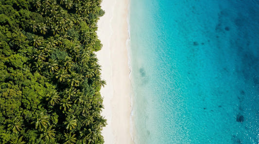 Tropical Shoreline Serenity Wall Mural
