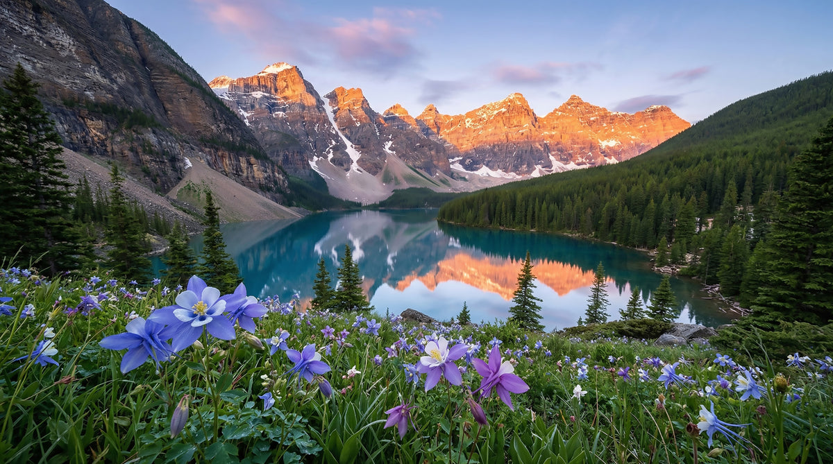 Alpine Glow & Lakeside Blooms Wall Mural in your room