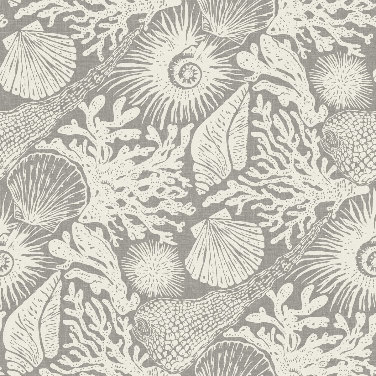 Boho Seashell & Coral Gray Wallpaper⁠ in your room