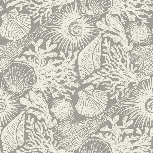 Boho Seashell & Coral Gray Wallpaper⁠