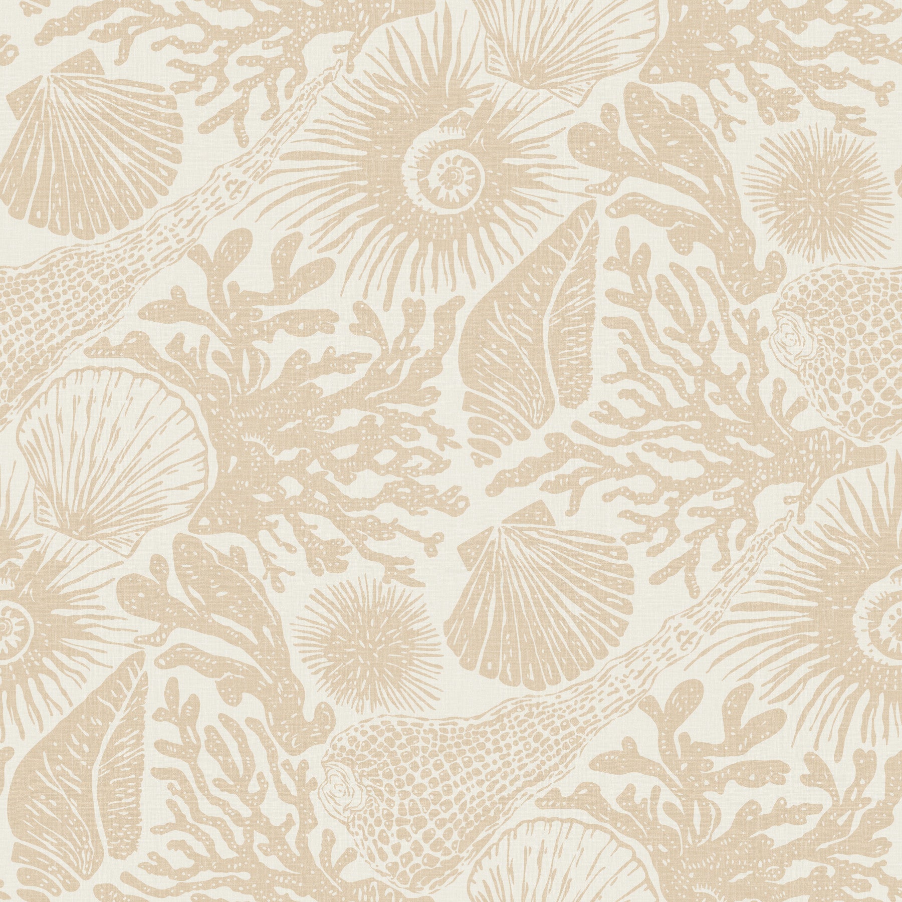 Boho Seashell & Coral Sand Wallpaper⁠ in your room — zoomed