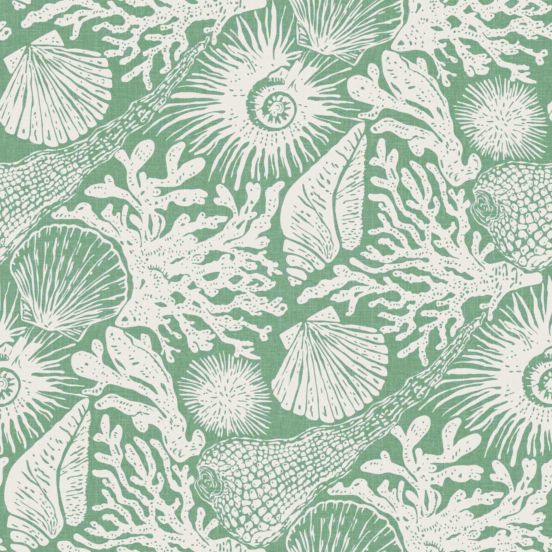 Sunlit living room feature with boho seashell and coral aqua green wallpaper