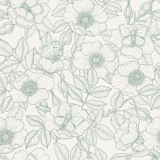 Dog rose and butterflies/Soft Green Linework Floral on Off‑White Wallpaper⁠