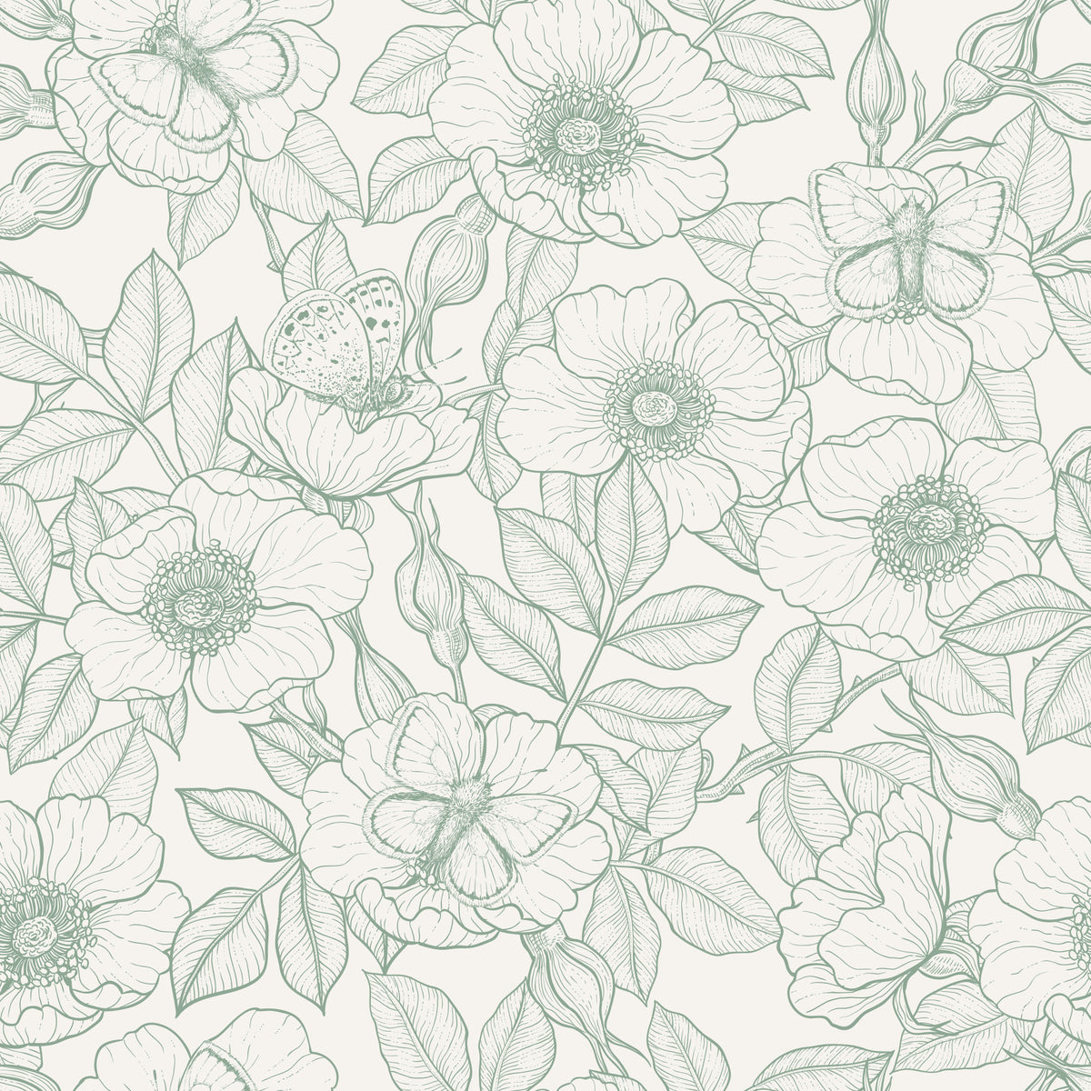 Dog rose and butterflies/Soft Green Linework Floral on Off‑White Wallpaper⁠