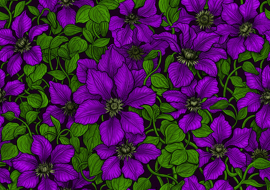 Purple Clematis vine Wallpaper⁠