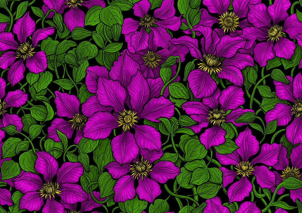 Pink Clematis vine Wallpaper⁠ in your room
