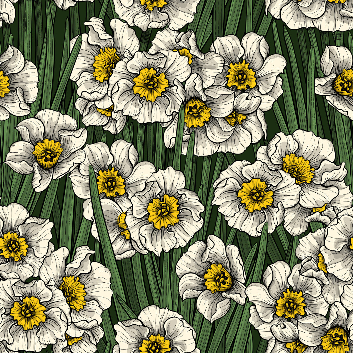 Daffodils Wallpaper⁠ in your room