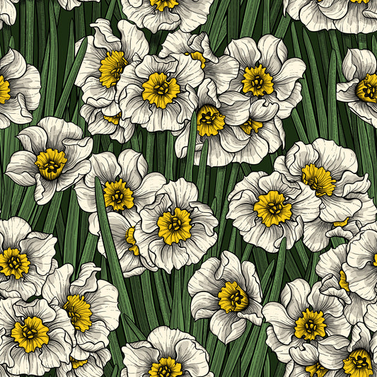 Daffodils Wallpaper⁠
