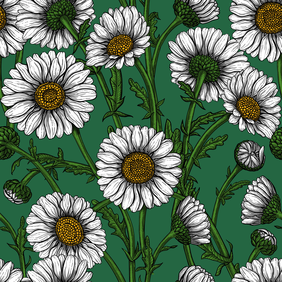 Daisies on emerald green Wallpaper⁠ in your room — zoomed