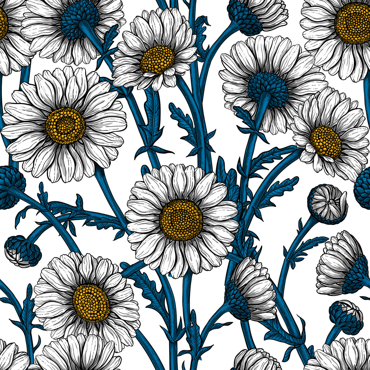 Daisies on white Wallpaper⁠ in your room — zoomed