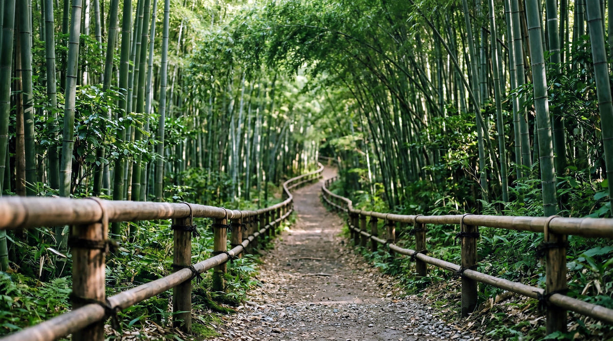 Bamboo Forest Path of Serenity Wall Mural in your room