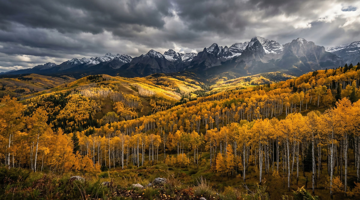Autumn's Golden Embrace Wall Mural in your room — zoomed