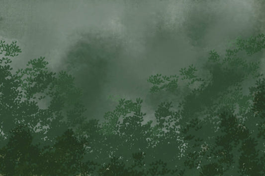 Emerald Canopy Mist Forest Dark  Wall Mural