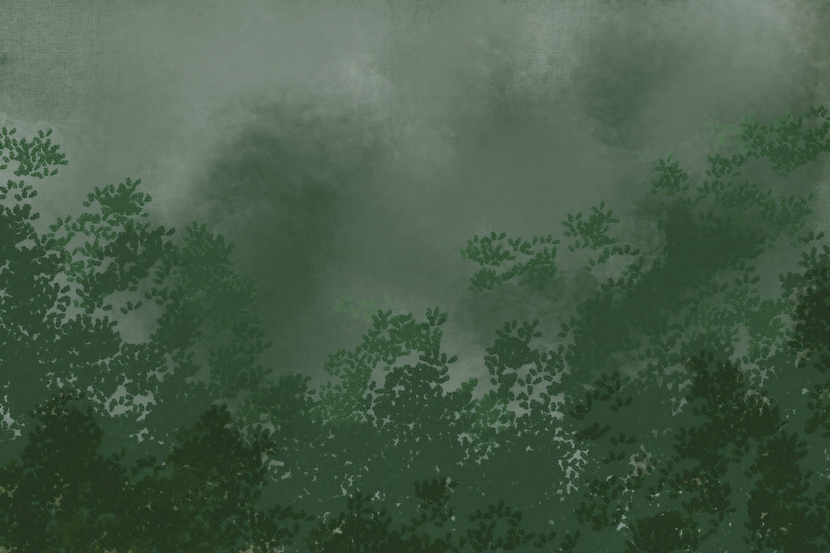 Emerald Canopy Mist Forest Dark  Wall Mural in your room