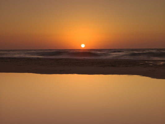 Golden Ocean Horizon Wall Mural
