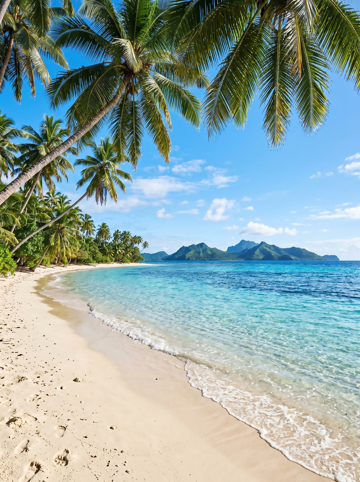Tropical Beachside Serenity Wall Mural in your room