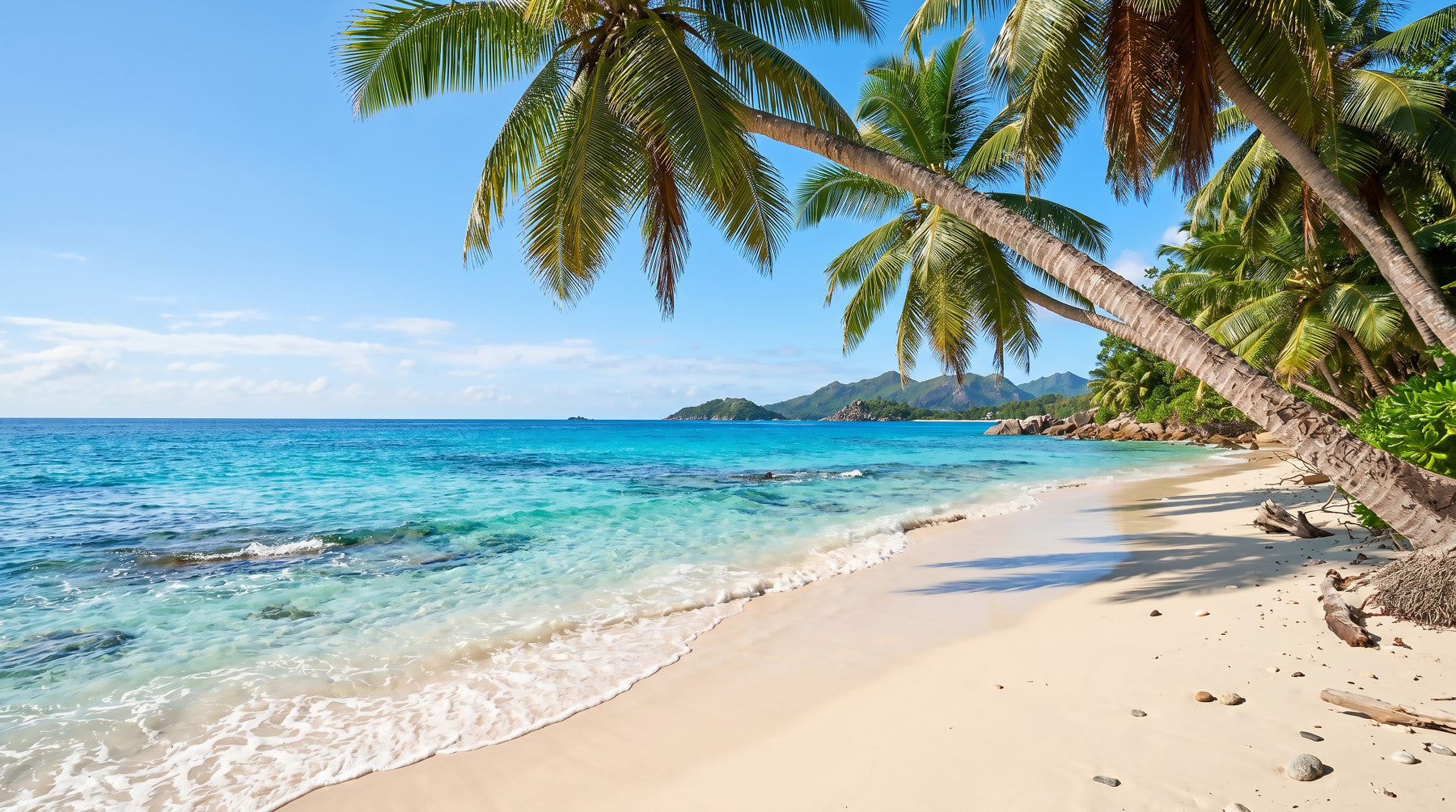 Tropical Beach Paradise Wall Mural