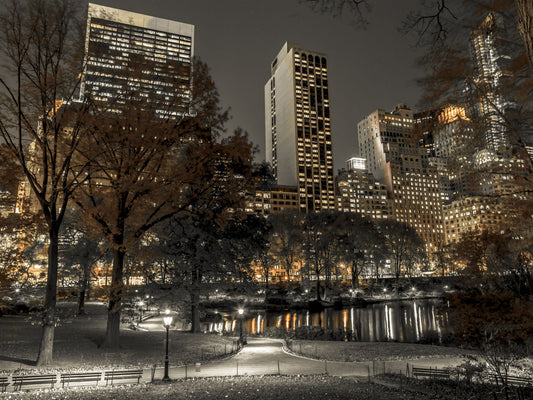 Urban Oasis Nights Wall Mural