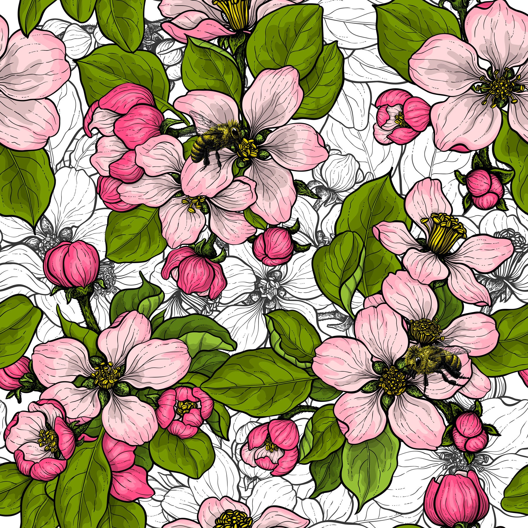Apple blossom on white 2 Wallpaper⁠