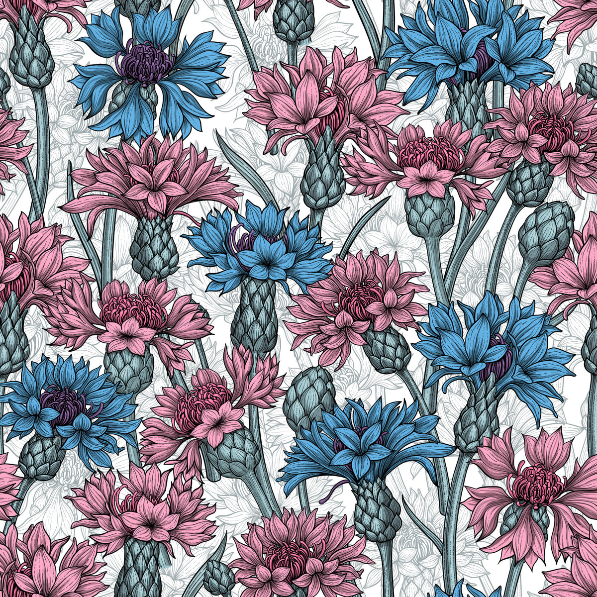 Pink and blue cornflowers on white Wallpaper⁠ in your room
