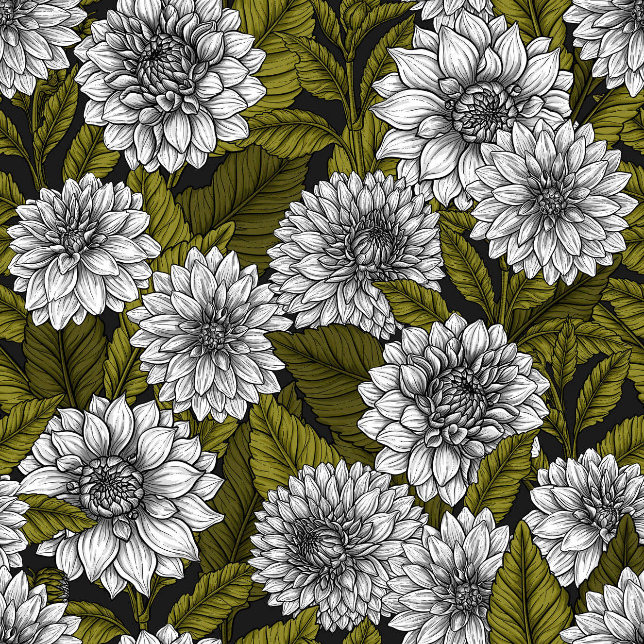 White Dahlia garden Wallpaper⁠