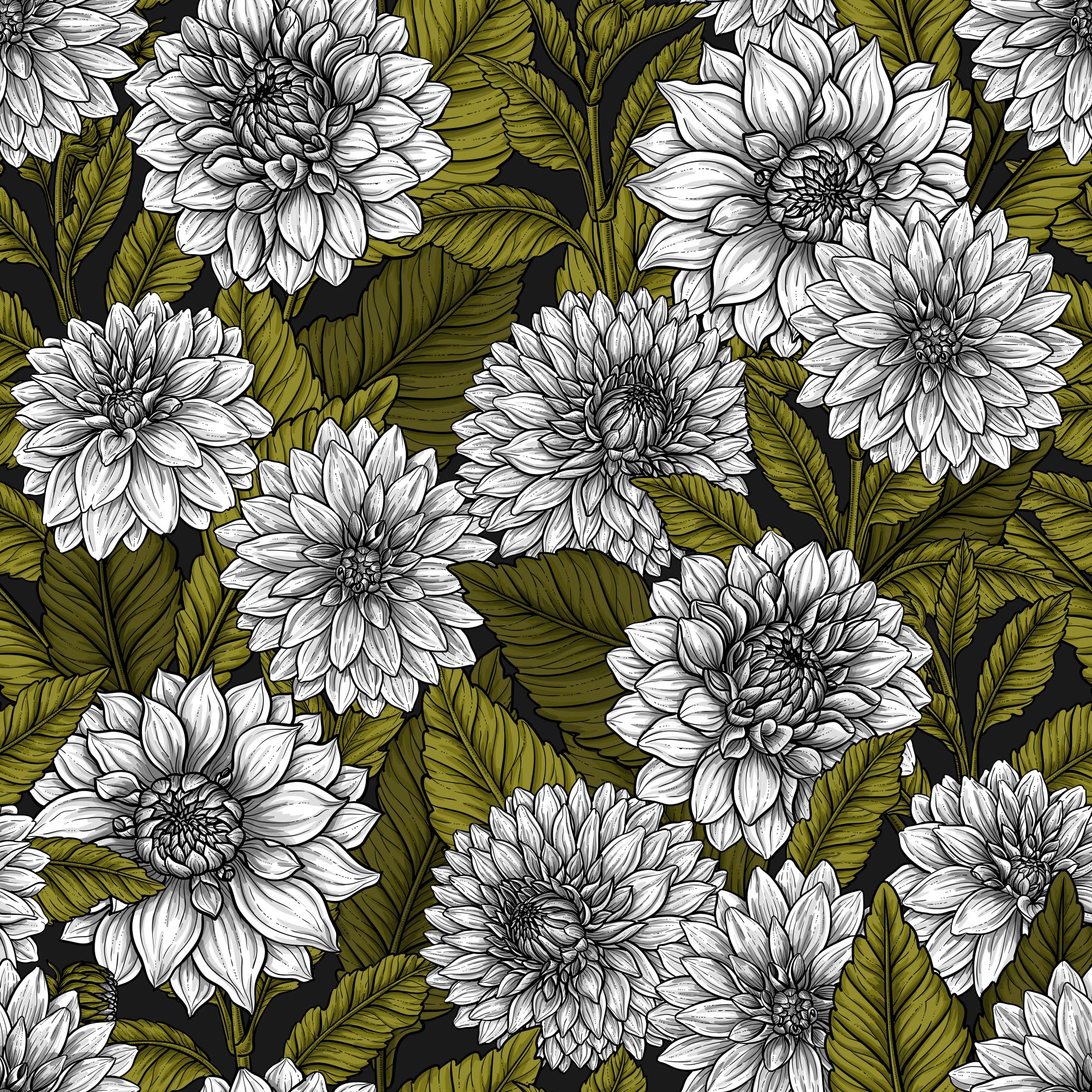 White Dahlia garden Wallpaper⁠