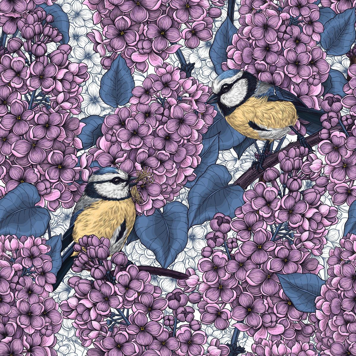 Birds in violet lilac garden  Wallpaper⁠