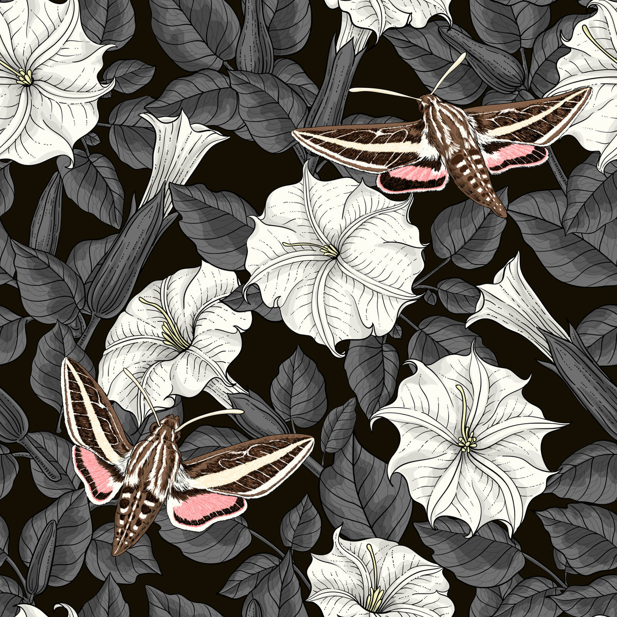 Moonflowers and sphinx moths Wallpaper⁠ in your room — zoomed