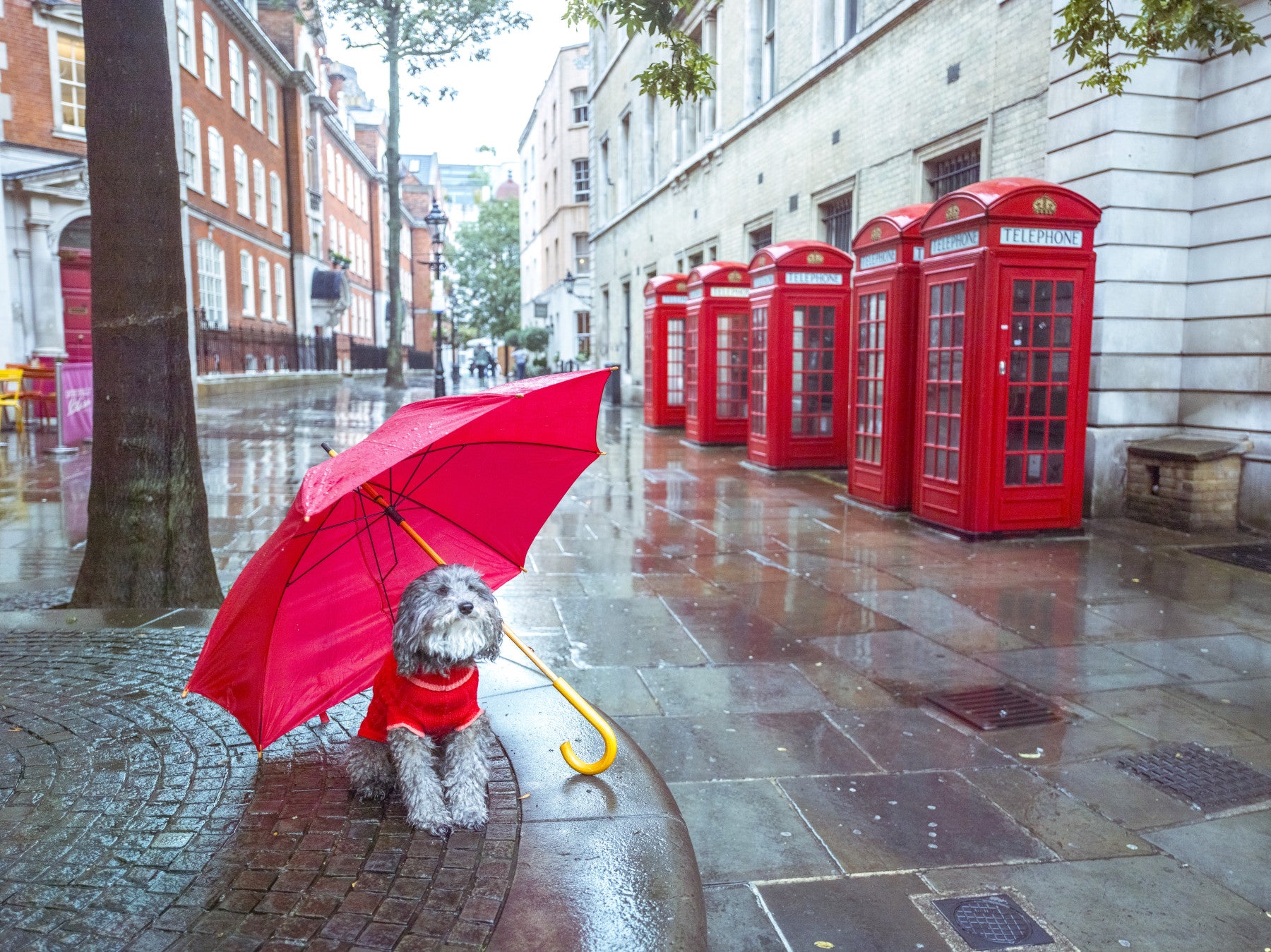 London Calling wall mural lays a wet street and red phone boxes behind the living room.