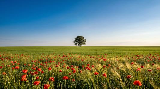 Vibrant Meadow Horizon Wall Mural