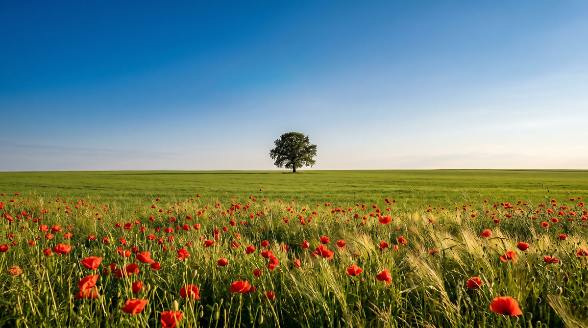 Vibrant Meadow Horizon Wall Mural in your room