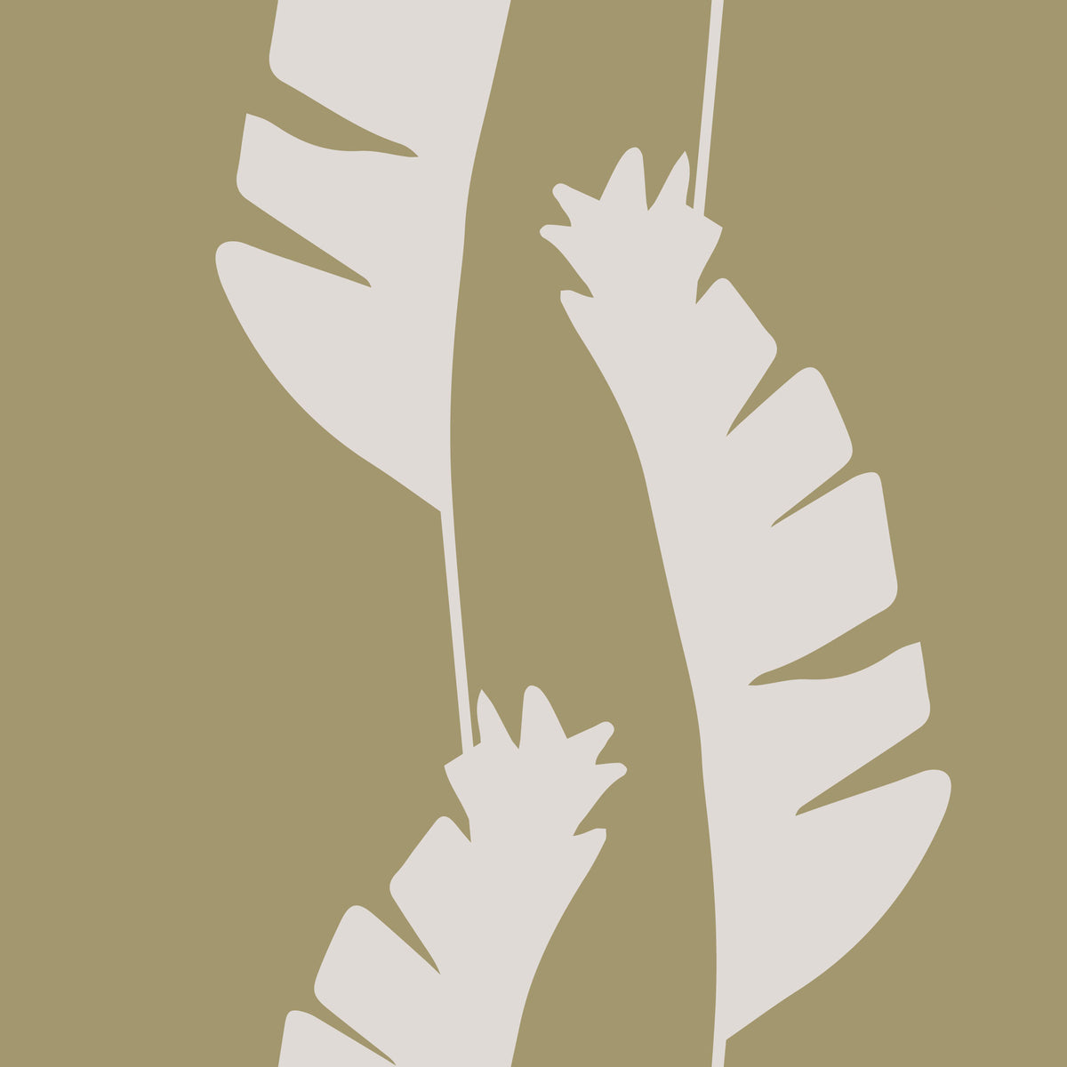 Olive Green Banana Leaf Wallpaper Boho Coastal Wallpaper⁠ in your room
