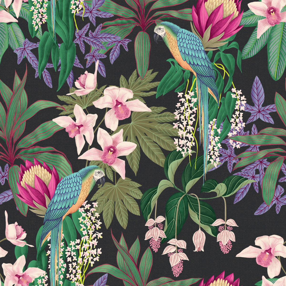 Tropical Macaw & Orchid Bloom Wallpaper⁠ in your room