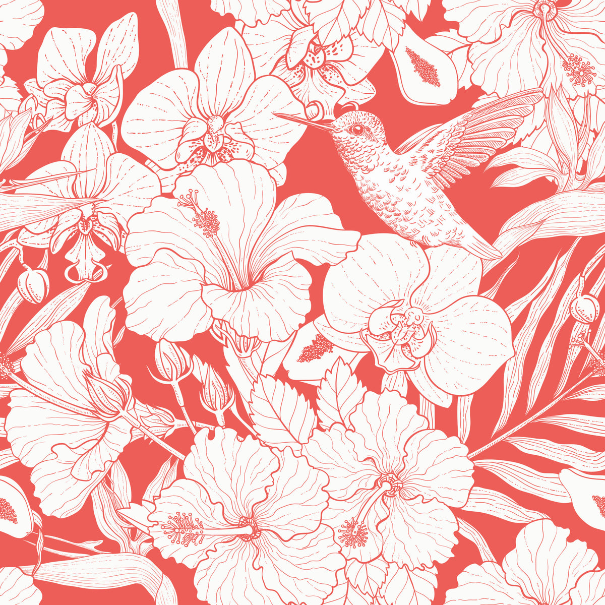 Tropical Florals and Hummingbird - Summer Botanical Garden 5 Wallpaper⁠ in your room