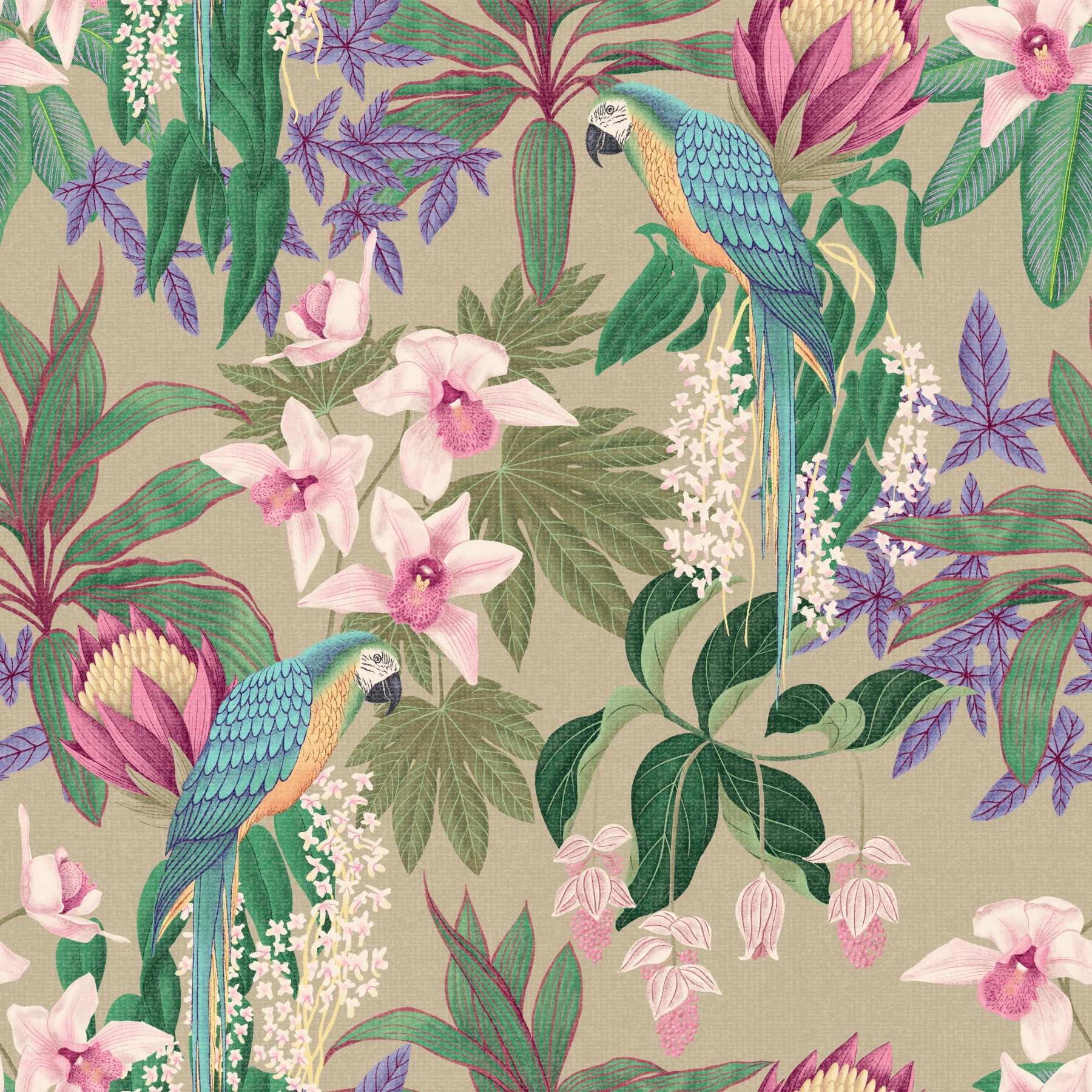 Tropical Macaw & Orchid Bloom  Wallpaper⁠