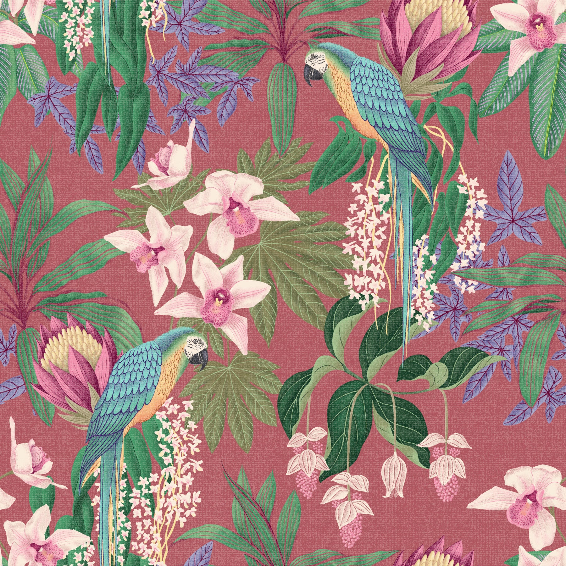 Living room Tropical Macaw wallpaper with Orchid Bloom flowers on pink