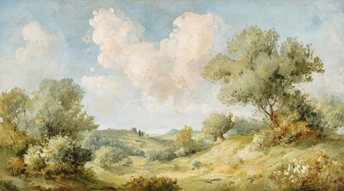 Timeless Hills: A Painted Vista Wall Mural in your room
